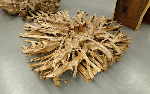 Тик корень Тик корень