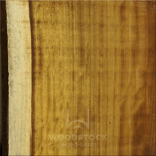 Ироко, слэбы в ассортименте Ироко, слэбы в ассортименте