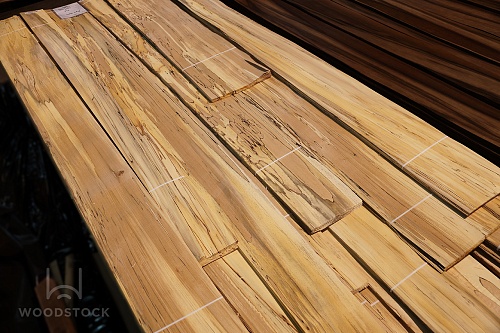 Натуральный шпон Бук ЭКО