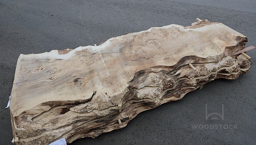 Пиломатериалы Тополь корень, слэб