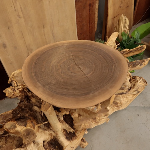 Орех Американский (торцевой срез) Орех Американский (торцевой срез)