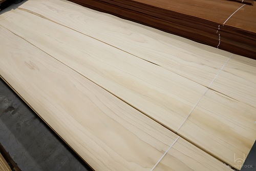 Натуральный шпон Тополь Натуральный шпон Тополь