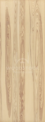 Панели и фасады со шпоном Ясень оливковый MixMatch Панели и фасады со шпоном Ясень оливковый MixMatch