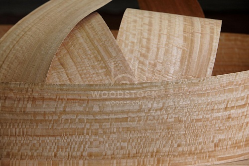 Натуральный шпон Эвкалипт Frize Натуральный шпон Эвкалипт Frize