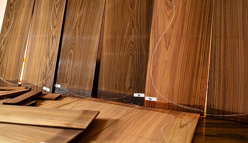 Другие формы Гитарная заготовка Pau Ferro