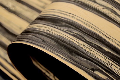 Коллекция ESPRESSO Мультишпон Moon V