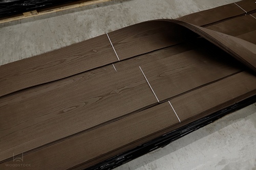 Ясень 26.005 Ясень 26.005