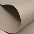 Коллекция BIANCHE NOTTI Мультишпон 00.170Q