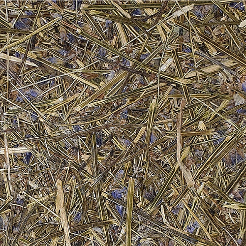 Экополотно ORGANOID Стебли Лаванды Экополотно ORGANOID Стебли Лаванды