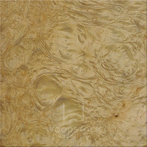 Натуральный шпон Мирт корень Натуральный шпон Мирт корень