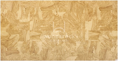 Сращенный шпон Ясень оливковый корень intarsio