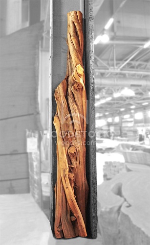 Другие формы Можжевельник [Juniper]