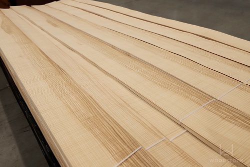 Ясень Оливковый Frisse Ясень Оливковый Frisse