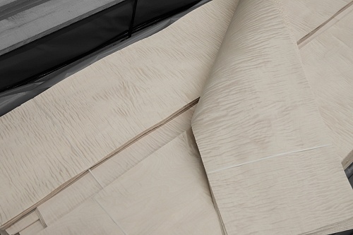 Клён Сикомора 09.S.086 Клён Сикомора 09.S.086