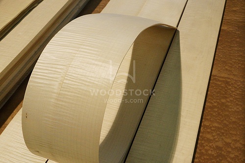 Натуральный шпон Сикоморо FRISSE Натуральный шпон Сикоморо FRISSE