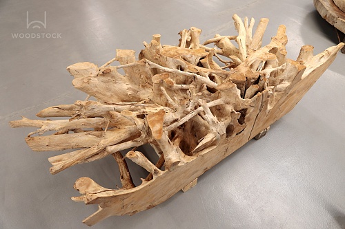 Тик корень Тик корень