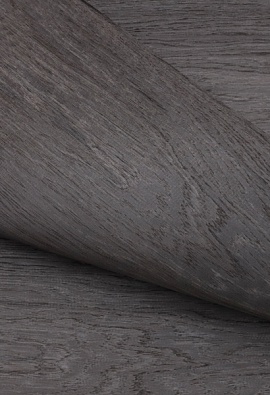 Дуб Реликтовый