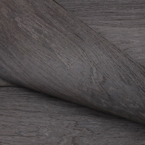 Дуб Реликтовый