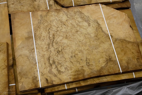 Натуральный шпон Лаурель корень Натуральный шпон Лаурель корень