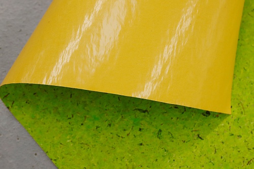 Экополотно Мох Лойташ