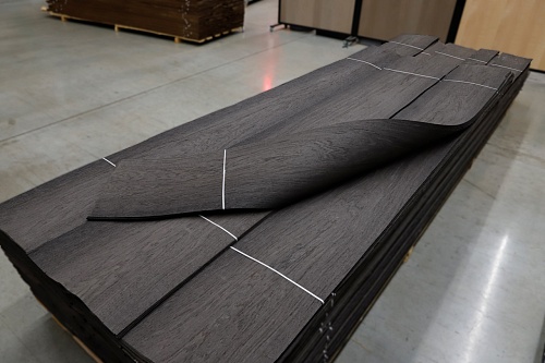 Дуб Реликтовый