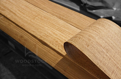 Натуральный шпон Эвкалипт Frize Натуральный шпон Эвкалипт Frize