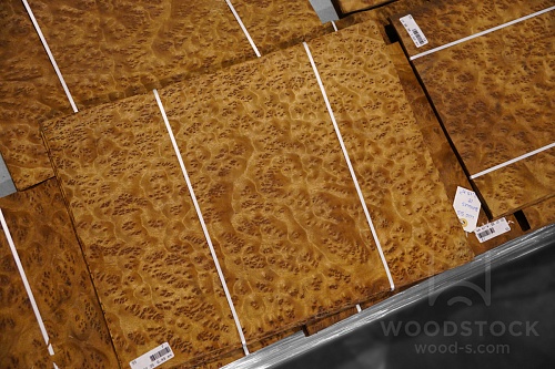 Натуральный шпон Камфора корень