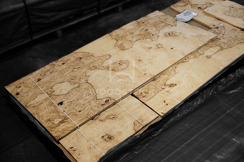 Натуральный шпон Ясень оливковый корень Натуральный шпон Ясень оливковый корень