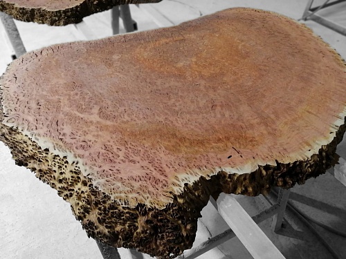 Слэбы Ярра, корень Слэбы Ярра, корень