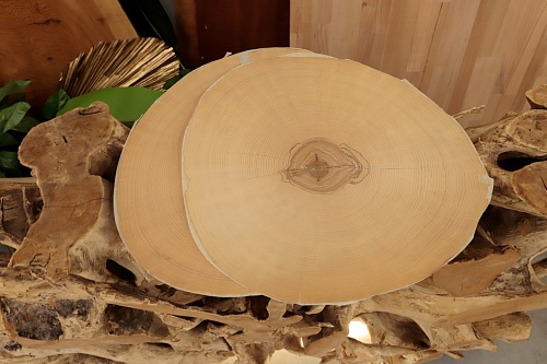 Ясень Белый (торцевой срез) Ясень Белый (торцевой срез)