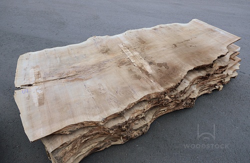 Пиломатериалы Тополь корень, слэб