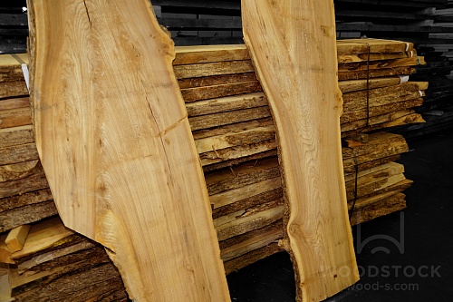 Карагач (Ильм) Карагач (Ильм)