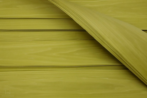 Тополь 52.077 Тополь 52.077