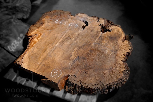 Слэбы Орех 1000x1200 мм