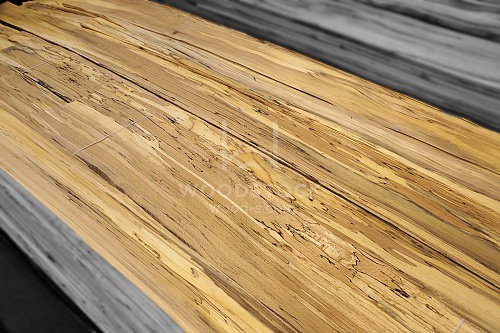 Натуральный шпон Бук ЭКО