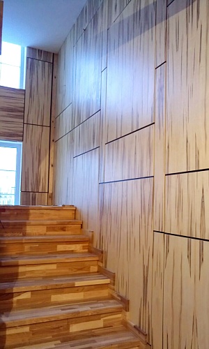 Натуральный шпон Клен Gusano Натуральный шпон Клен Gusano