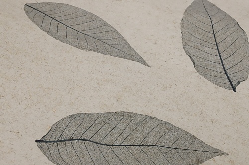 Экополотно Листья Гевеи Антрацит