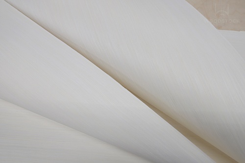 Bianche Notti Snow 01S