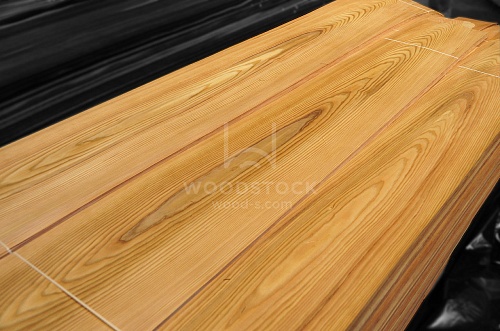 Лиственница Лиственница