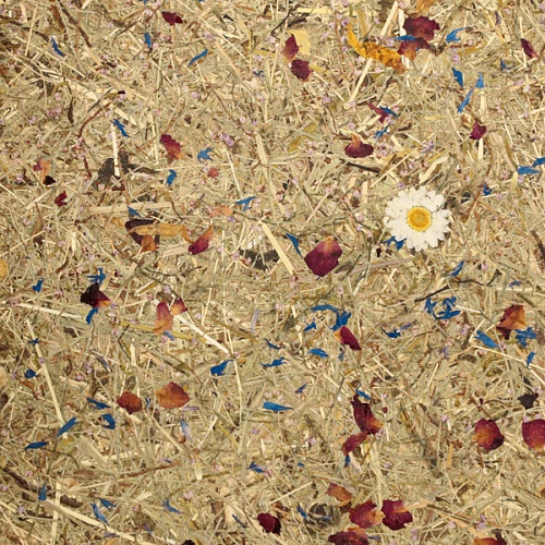 Экополотно ORGANOID Красочный Тироль Экополотно ORGANOID Красочный Тироль