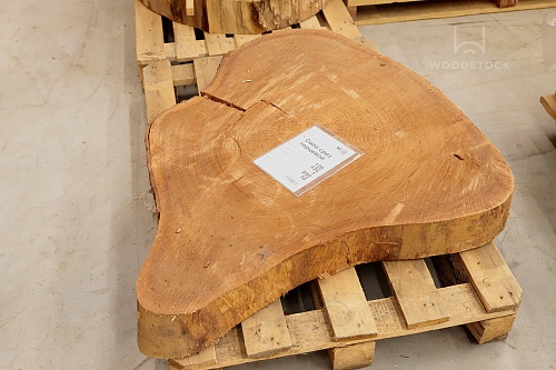 Поперечные срезы дерева Поперечные срезы дерева