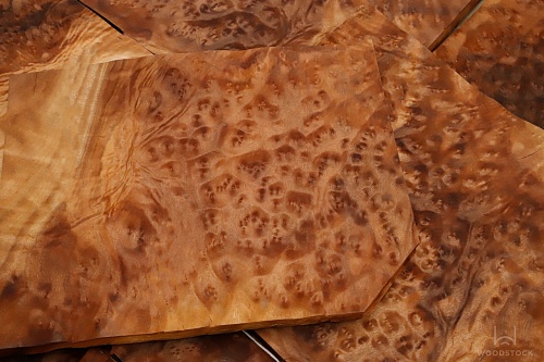 Натуральный шпон Камфора корень