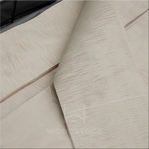 Клён Сикомора 09.S.086 Клён Сикомора 09.S.086