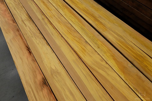 Олива Лаора