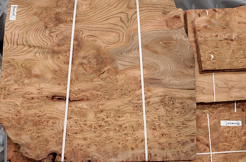 Натуральный шпон Ильм корень Натуральный шпон Ильм корень