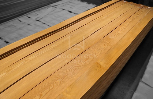 Лиственница Лиственница