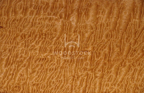 Натуральный шпон Боссе поммеле Натуральный шпон Боссе поммеле