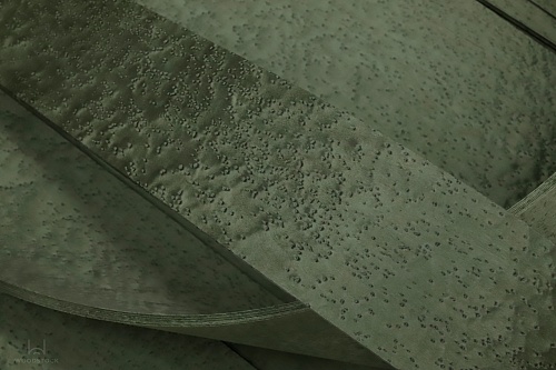 Клён Птичий глаз 05.079 Клён Птичий глаз 05.079