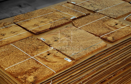 Натуральный шпон Туя корень Натуральный шпон Туя корень