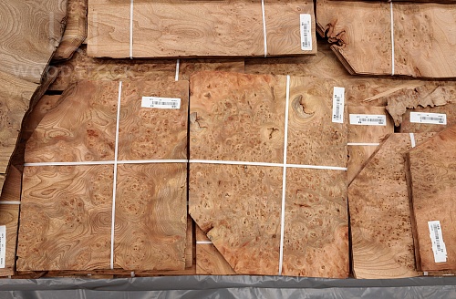 Натуральный шпон Ильм корень Натуральный шпон Ильм корень